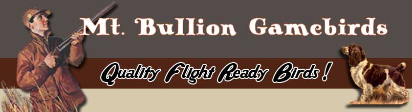 Mt. Bullion Gamebirds - Quality Flight Ready Birds