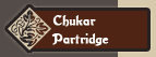 Chuckar Partridge