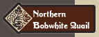 northernbobwhitequail.html